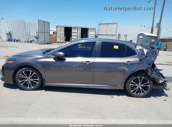 4T1G31AK0LU529839 2020 TOYOTA CAMRY Серый Вид задней части салона