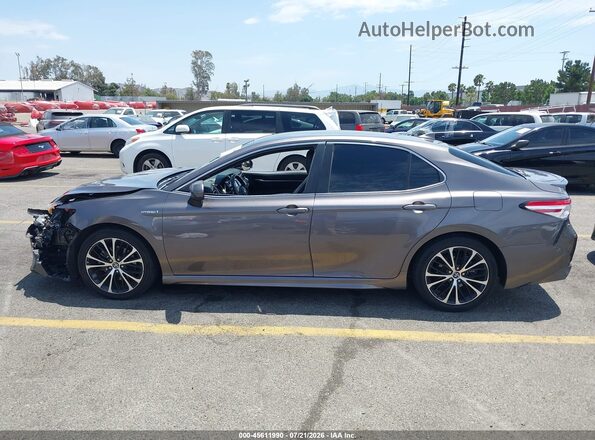 4T1G31AK7LU011601 2020 TOYOTA CAMRY Серый Панорамный вид салона 360°