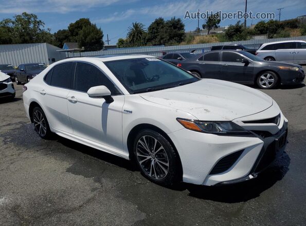4T1J31AK1LU532898 2020 TOYOTA CAMRY Белый Вид наклейки с VIN-кодом