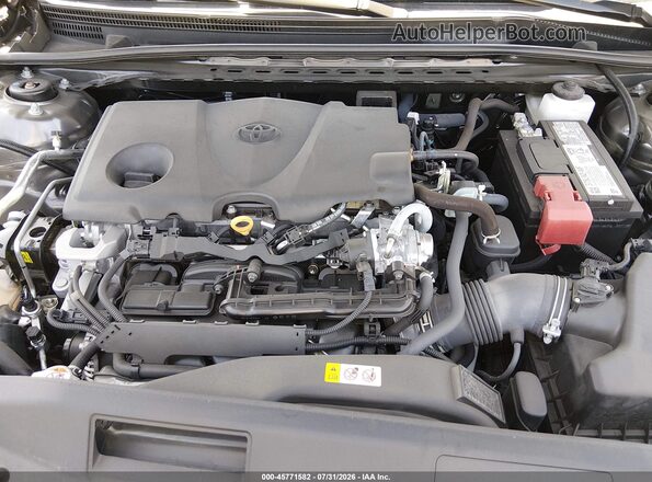 4T1K61BK1PU088888 2023 TOYOTA CAMRY Gray Widok z tyłu