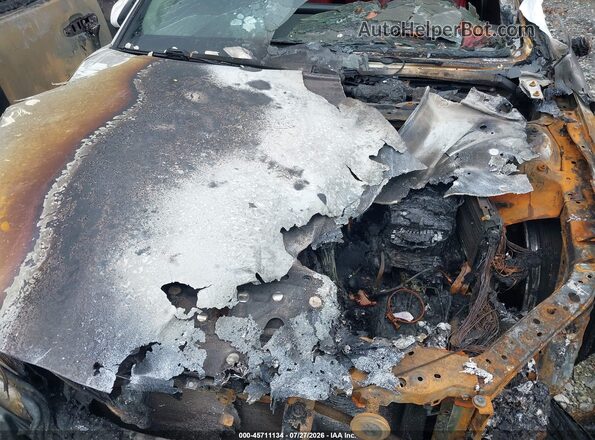 4T1KZ1AK8MU058422 2021 TOYOTA CAMRY Белый Вид сзади