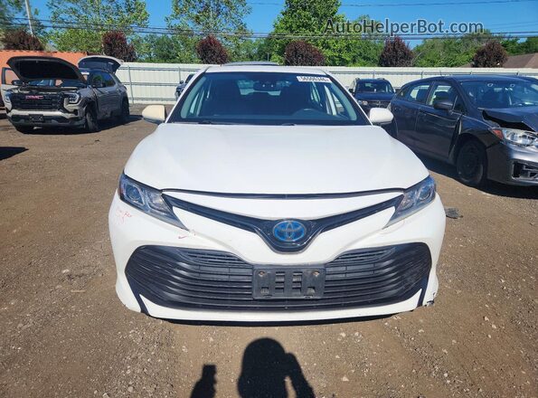 4T1L31AK6LU523686 2020 TOYOTA CAMRY White Vista frontal