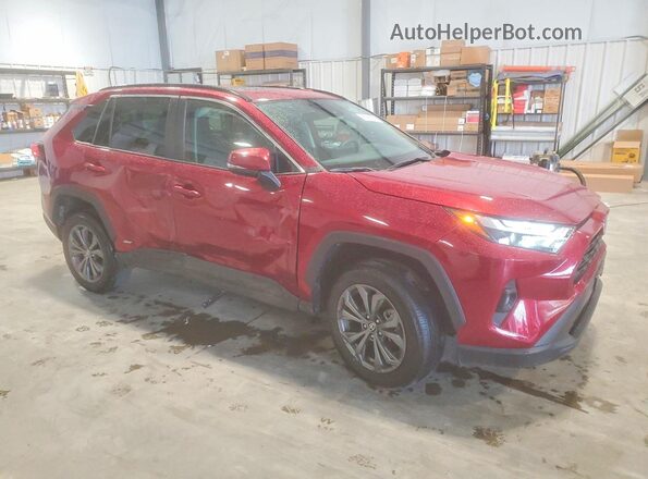 4T3B6RFV4RU150152 2024 TOYOTA RAV4 Red Передня права чверть