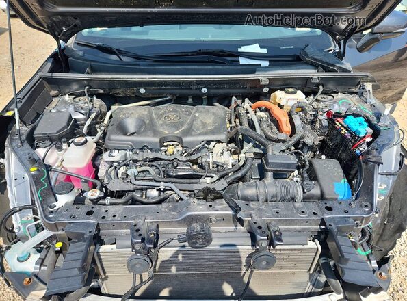 4T3B6RFV7MU058428 2021 TOYOTA RAV4 Gray Vista del compartimento del motor