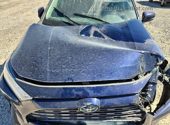 4T3D6RFV3MU052389 2021 TOYOTA RAV4 Blue Սալոնի հետևի տեսք