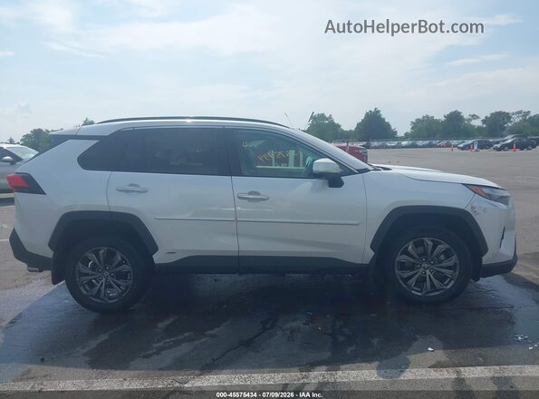 4T3D6RFV5PU118865 2023 TOYOTA RAV4 HYBRID Белый Вид задней части салона