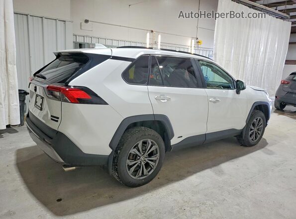4T3D6RFVXPU137847 2023 TOYOTA RAV4 White Tył prawy