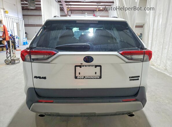 4T3D6RFVXPU137847 2023 TOYOTA RAV4 White Widok z tyłu