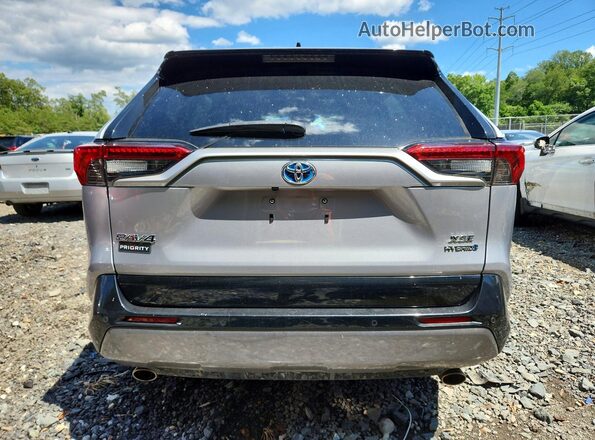 4T3E6RFV2MU048208 2021 TOYOTA RAV4 Серебряный Вид сзади