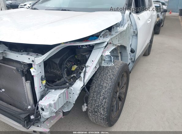 4T3E6RFV5PU106350 2023 TOYOTA RAV4 HYBRID White Սալոնի հետևի տեսք