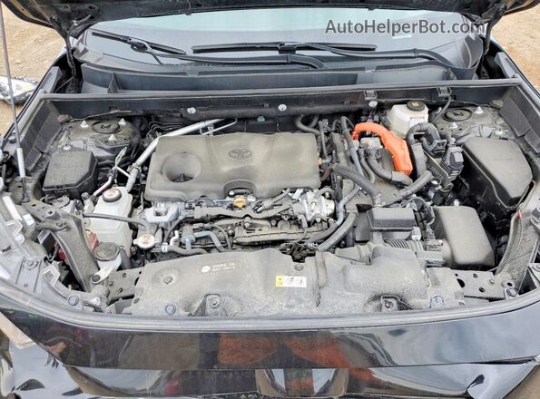 4T3LWRFV0SU172062 2025 TOYOTA RAV4 Black Widok wnętrza z tyłu