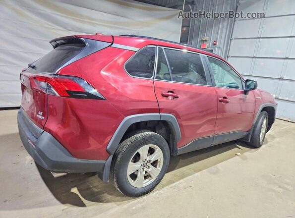 4T3LWRFV8LU009838 2020 TOYOTA RAV4 Red Հետևի աջ