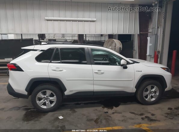 4T3R6RFV0LU003476 2020 TOYOTA RAV4 HYBRID White Սալոնի հետևի տեսք
