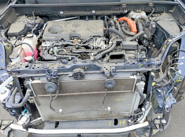 4T3R6RFV1LU003339 2020 TOYOTA RAV4 Blue Rear interior view