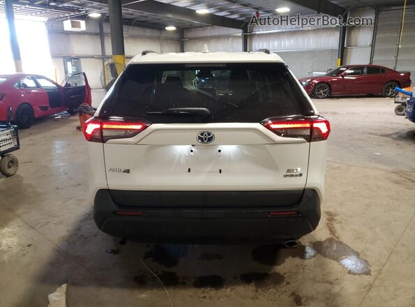 4T3R6RFV2MU018790 2021 TOYOTA RAV4 Белый Вид сзади