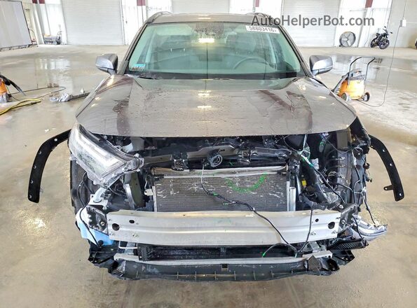 4T3RWRFV0RU118569 2024 TOYOTA RAV4 Gray Front view