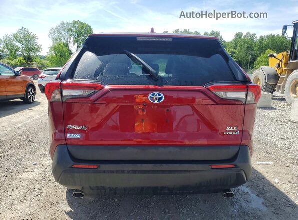 4T3RWRFV1RU133632 2024 TOYOTA RAV4 Burgundy Rear view