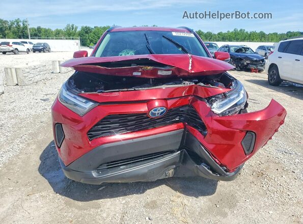4T3RWRFV1RU133632 2024 TOYOTA RAV4 Burgundy Front view