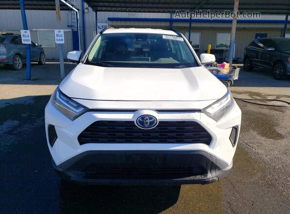 4T3RWRFV1RU142170 2024 TOYOTA RAV4 Белый Вид спереди
