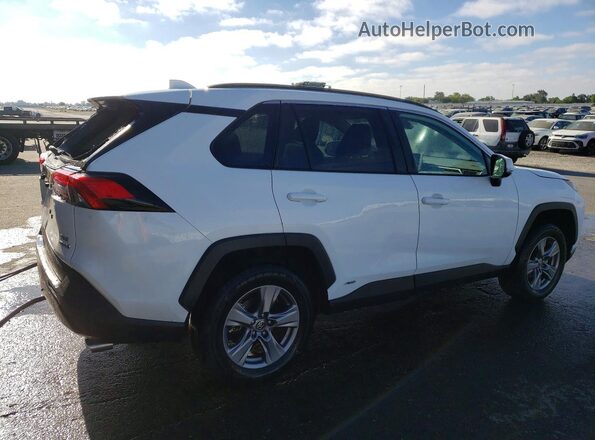 4T3RWRFV1RU142170 2024 TOYOTA RAV4 Белый Задняя правая четверть