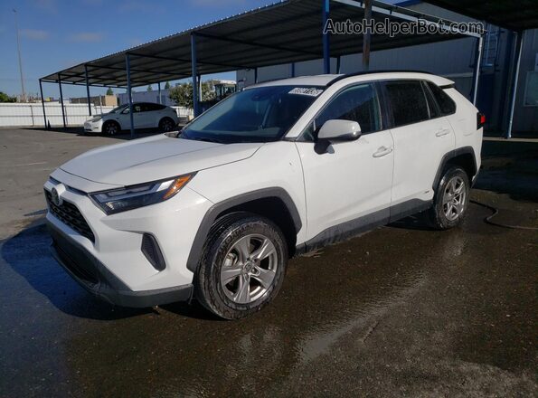4T3RWRFV1RU142170 2024 TOYOTA RAV4 Белый 