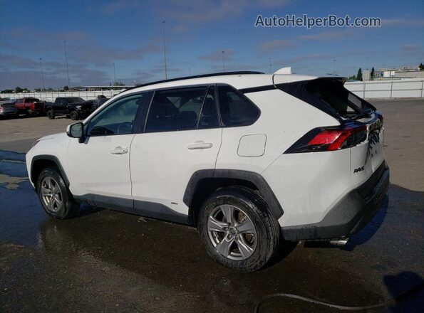4T3RWRFV1RU142170 2024 TOYOTA RAV4 Белый 