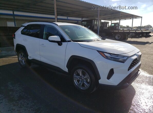 4T3RWRFV1RU142170 2024 TOYOTA RAV4 Белый 