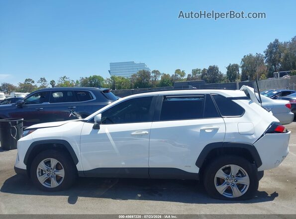 4T3RWRFV1SU196834 2025 TOYOTA RAV4 HYBRID White 