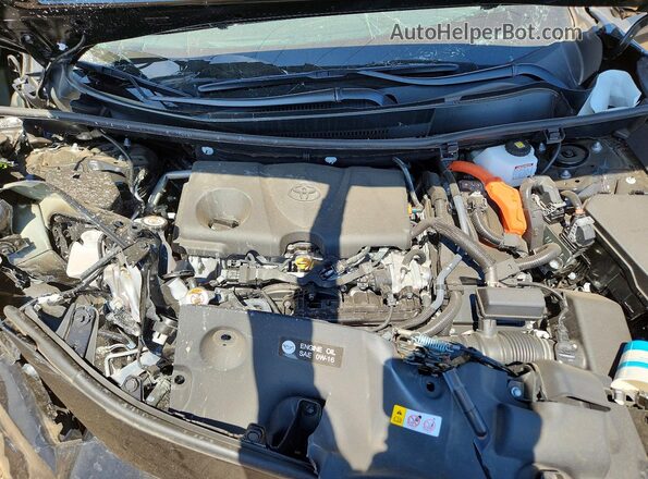 4T3RWRFV1SU215544 2025 TOYOTA RAV4 Black Սալոնի հետևի տեսք