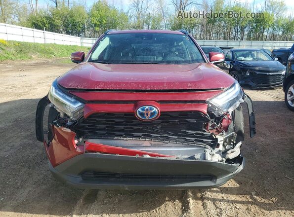 4T3RWRFV2NU067618 2022 TOYOTA RAV4 Бордовый Вид спереди