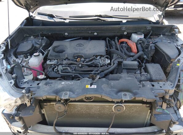 4T3RWRFV2PU101558 2023 TOYOTA RAV4 HYBRID Gray Widok z tyłu