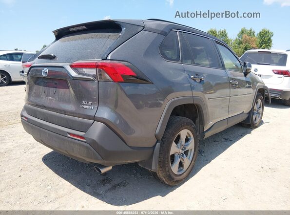 4T3RWRFV2PU101558 2023 TOYOTA RAV4 HYBRID Gray Tył prawy