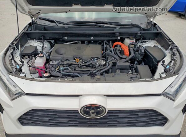 4T3RWRFV2SU188502 2025 TOYOTA RAV4 White Engine compartment view