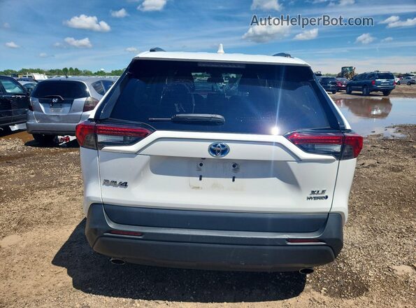 4T3RWRFV4MU043870 2021 TOYOTA RAV4 White Вид ззаду