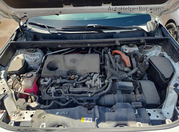 4T3RWRFV4MU043870 2021 TOYOTA RAV4 White Вид задньої частини салону