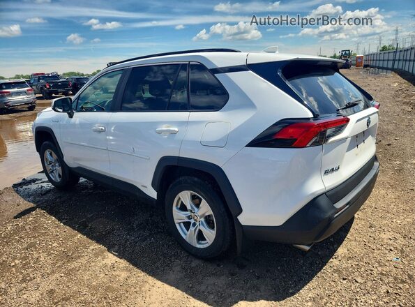4T3RWRFV4MU043870 2021 TOYOTA RAV4 White Задня ліва чверть