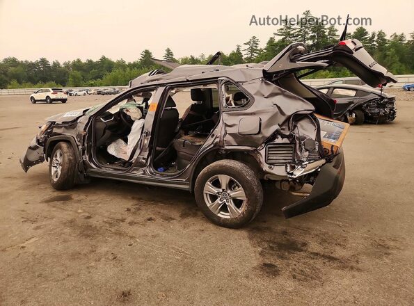 4T3RWRFV6PU101711 2023 TOYOTA RAV4 Gray Задня ліва чверть