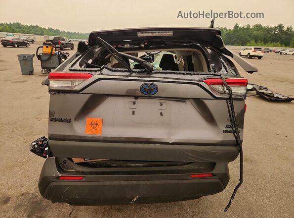 4T3RWRFV6PU101711 2023 TOYOTA RAV4 Gray Вид ззаду