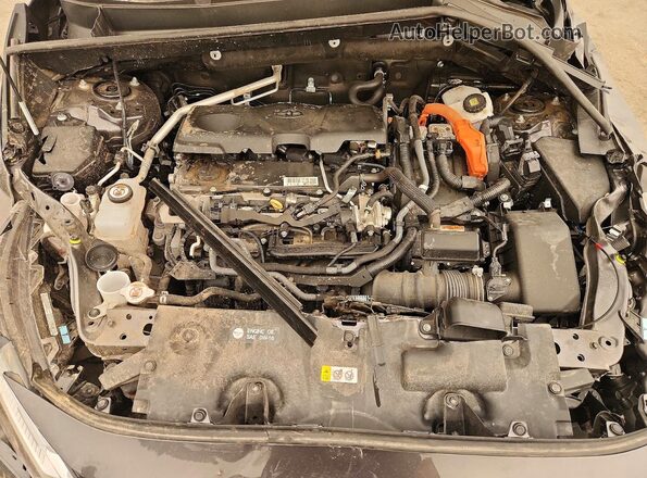 4T3RWRFV6PU101711 2023 TOYOTA RAV4 Gray Вид задньої частини салону