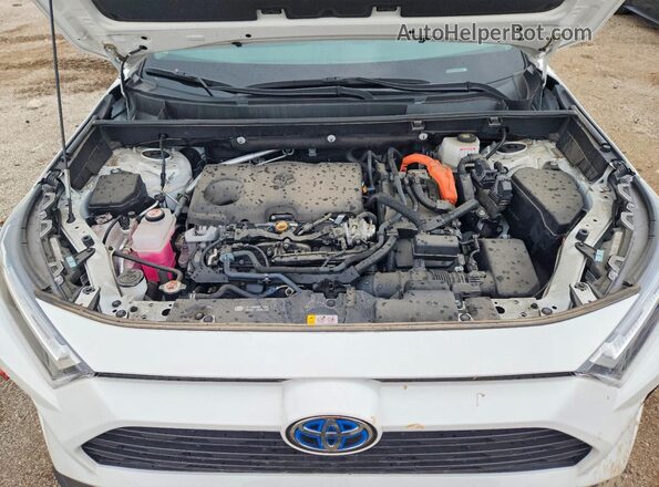 4T3RWRFV6RU126580 2024 TOYOTA RAV4 White Widok wnętrza z tyłu