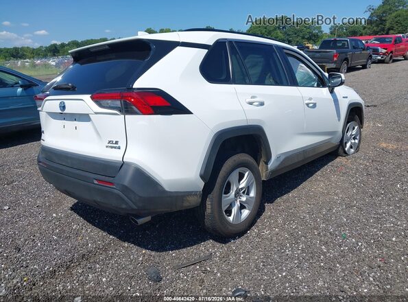 4T3RWRFV8MU023718 2021 TOYOTA RAV4 HYBRID White უკანა მარჯვენა
