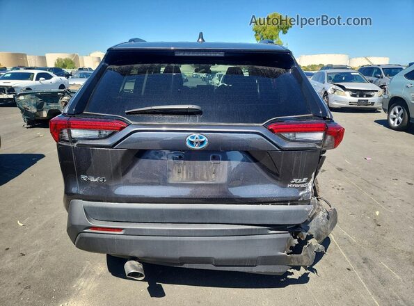 4T3RWRFVXPU095458 2023 TOYOTA RAV4 Gray Вид ззаду