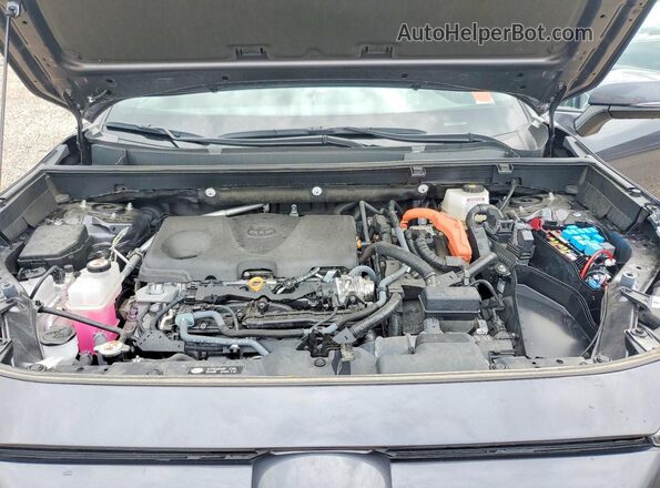 4T3T6RFV0PU137447 2023 TOYOTA RAV4 Серый Вид задней части салона