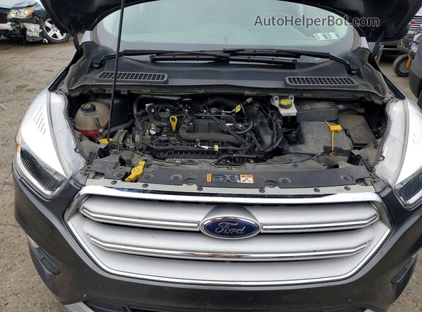1FMCU9GD4KUB08613 2019 FORD ESCAPE Gray VIN կոդի պիտակի տեսք
