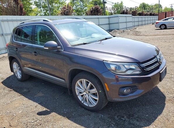 WVGBV7AX9GW566059 2016 VOLKSWAGEN TIGUAN Gray Вид спереду