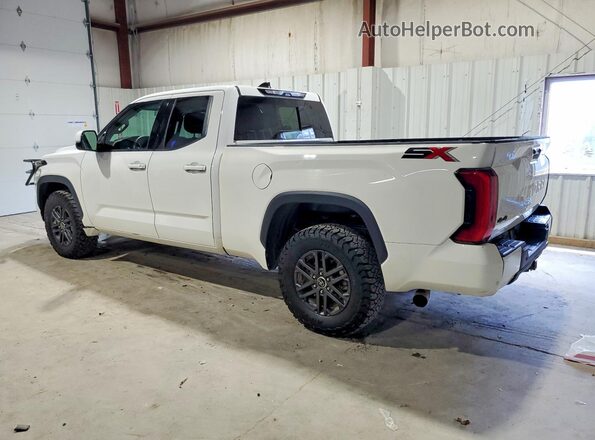 5TFLA5DA6PX084496 2023 TOYOTA TUNDRA White უკანა მარჯვენა