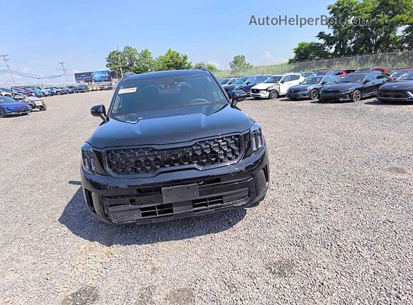 5XYP3DGC2SG614607 2025 KIA TELLURIDE Black Widok z tyłu