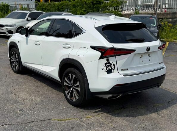 JTJSARDZ1L5006364 2020 LEXUS NX White Tył prawy