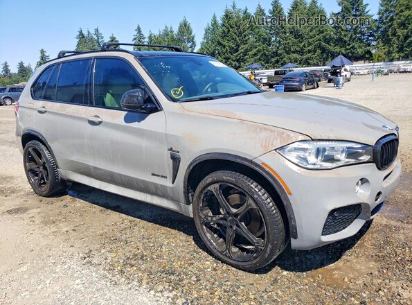 5UXKR2C33H0U24380 2017 BMW X5 Gray Widok z przodu