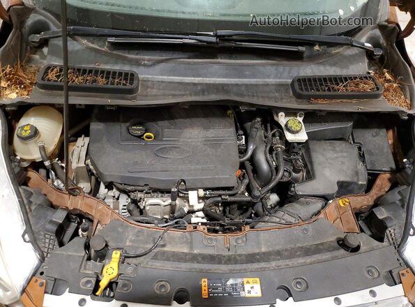 1FMCU0GD5HUC81867 2017 FORD ESCAPE Brown Widok naklejki z numerem VIN